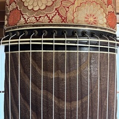 箏 13弦　和楽器琴民謡演歌演奏習い事の画像