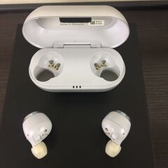  25136  ノイズキャンセリングワイヤレスイヤホン イヤフォン Technics   ◆大阪市内・東大阪市他 6,000円以上ご購入で無料配達いたします！◆ ※高槻・枚方方面◆西宮・尼崎方面◆生駒方面　それぞれ条件付き無料配送あり！            の画像