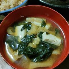 さつまいも茎1㎏800円（栄養豊富で健康的な秋の味覚です）山菜炊き込みご飯、きんぴら、お味噌汁、炒め物、マヨネーズ和え、ポテトサラダ等にいかがですか？☀（※お渡しする当日に収穫します。）お近くなら車で配達いたします。(ご希望の場所をお伝えください)の画像