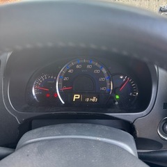 スズキ、スティングラーの画像