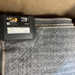 電気カーペット 3畳用 195×235の画像