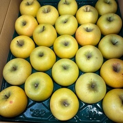 りんご王林１個の画像