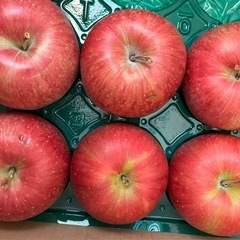 りんご王林１個の画像