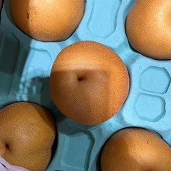 りんご王林１個の画像