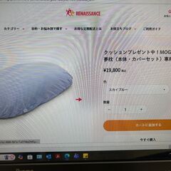 MOGU クッションの画像