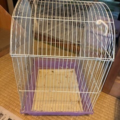 鳥かごの画像