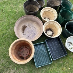 プラスチックの鉢いろいろ　14鉢
セットの画像