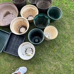 プラスチックの鉢いろいろ　14鉢
セットの画像