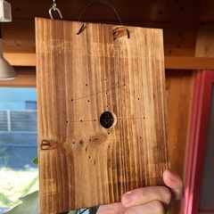 ビカクシダ　ベイチー(ビーチー)①の画像