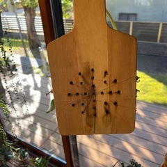 ビカクシダ　ビフルカツムの画像