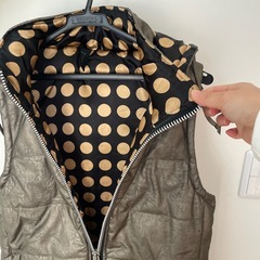 ロフトスキー　ベストの画像