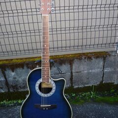 Pro Martin プロマーチン エレアコの画像