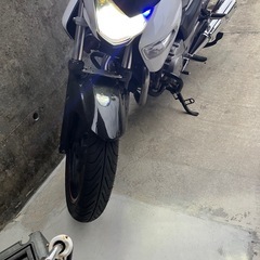 GSR250の画像