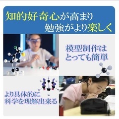 Felimoa 分子構造模型セット 444ピースの画像