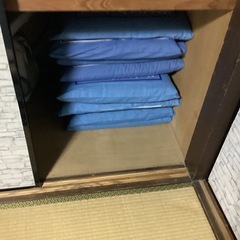 座布団10枚の画像
