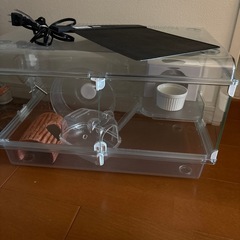 グラスハーモニーのハムスターゲージセットの画像
