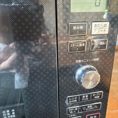 パナソニック　スチームオーブンレンジNE-A263の画像