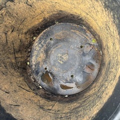 プラスチック鉢　大型の画像
