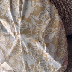 取引先決定【あげます】ポップアップテントの画像