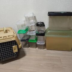 ケース色々の画像