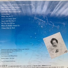 （バッグ付）ホイットニーヒューストンCD3枚の画像