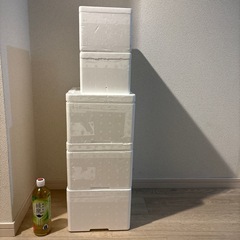  発泡スチロールの箱　5個！　🤗　（決まりました！）　の画像