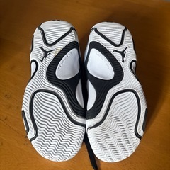 バッシュの画像