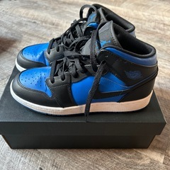 ナイキ　ジョーダン　25cm 
良品の画像