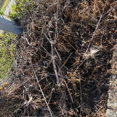 薪などに使う方いかがでしょうか？の画像