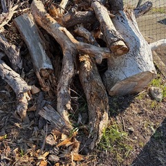 薪などに使う方いかがでしょうか？の画像