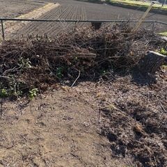 薪などに使う方いかがでしょうか？の画像