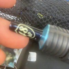 11月15日限定クプアス 48＋タモ＋ルアーセット即決30000円の画像