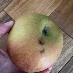 りんご麦茶の画像