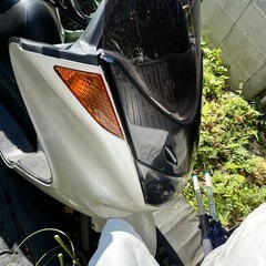 マジェスティの画像