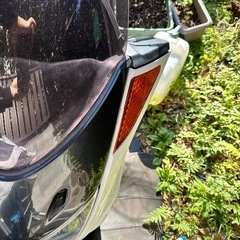 マジェスティの画像