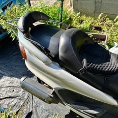 マジェスティの画像