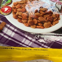 フラット犬猫簡単トイレとキャットフードの画像