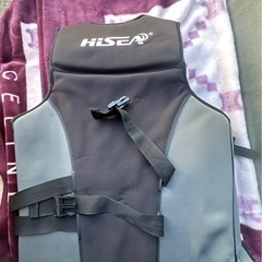 ライフジャケット
の画像