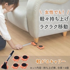 転がるキャリーの画像