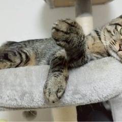 性格バツグンの女の子