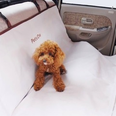 ドライブシート 幅125cm 長さ146cm ペッツワン 後部座席用 ファスナー付 車 猫 犬 ペット 汚れ防止 防塵 抜け毛防止の画像