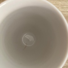 プーさん　コップ　3個セットの画像