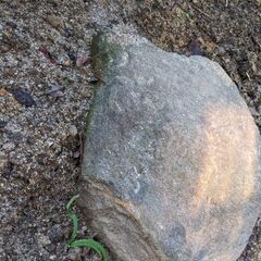 灯籠の台の画像