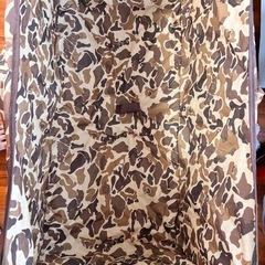 キャリーワゴンの画像