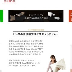 ニトリビーズクッション　追加ビーズ大の画像