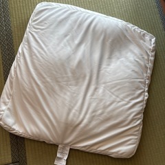 ニトリビーズクッション　追加ビーズ大の画像