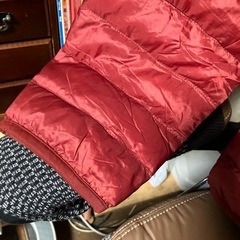 ユニクロ　ダウンジャンパーの画像