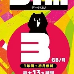 楽天回線　プリペイドSIMカード　3G/月　12ヶ月
　SMS可の画像