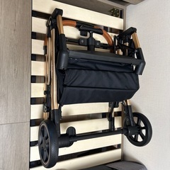 ペットカート　Angelpet エンジェルぺっペットの画像