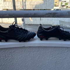 MIZUNOモナルシーダneo2PRO  25cm
の画像